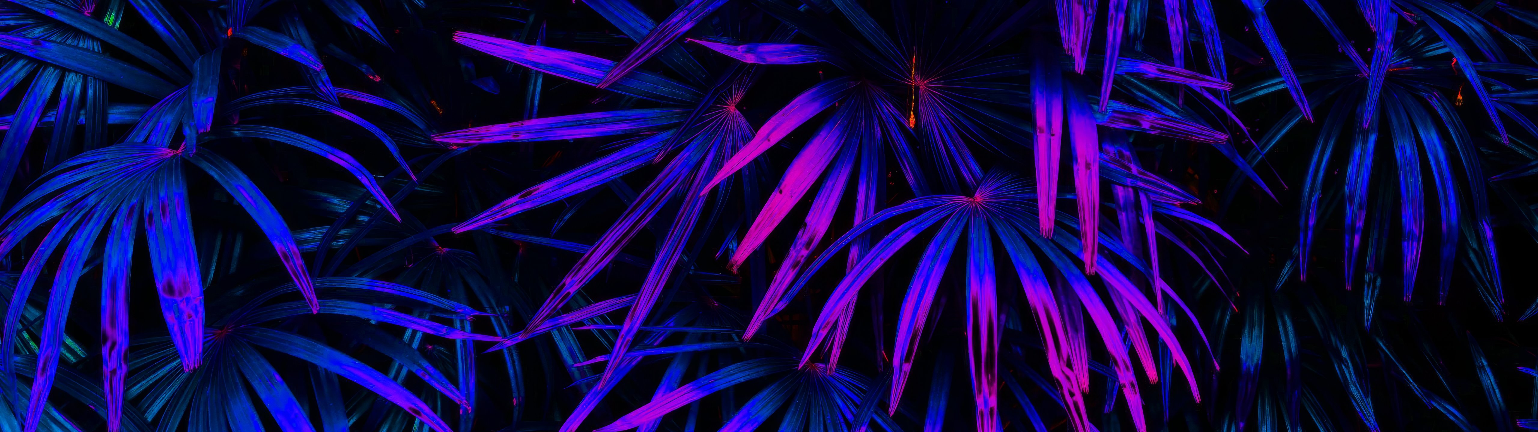 Neon illuminated palm leaves - UltraWide 32:9 wallpapers in 5120x1440 resolution