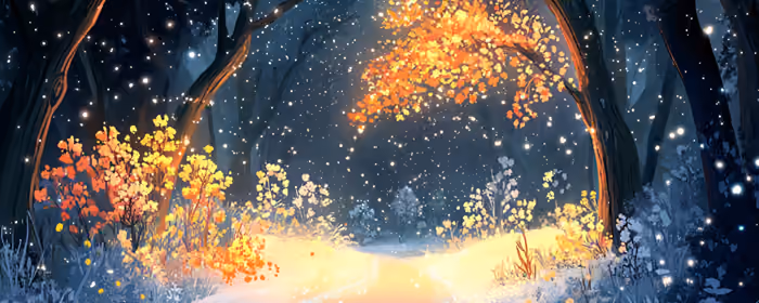 Nature wallpapers: forest, winter, snow, night