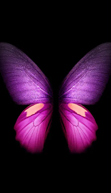 butterfly Wallpapers for Samsung, HTC, Sony (540x960): butterfly, ambient light, close-up, contrast