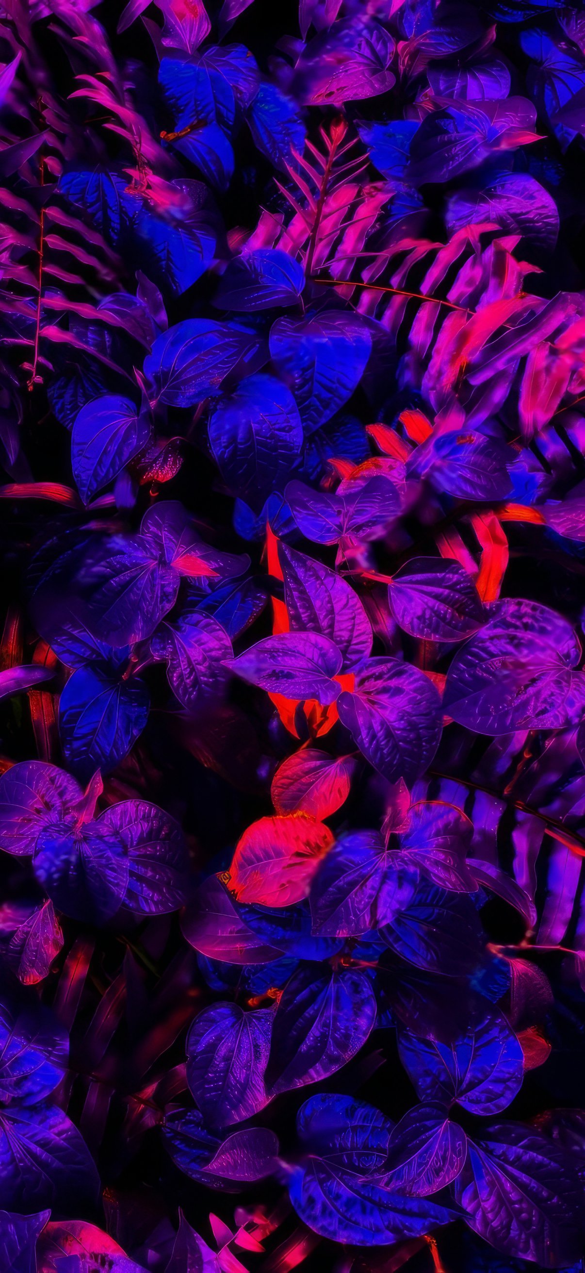 Neon illuminated tropical leaves - Wallpapers for iPhone 17 Pro/17/16 Pro in 1206x2622 resolution