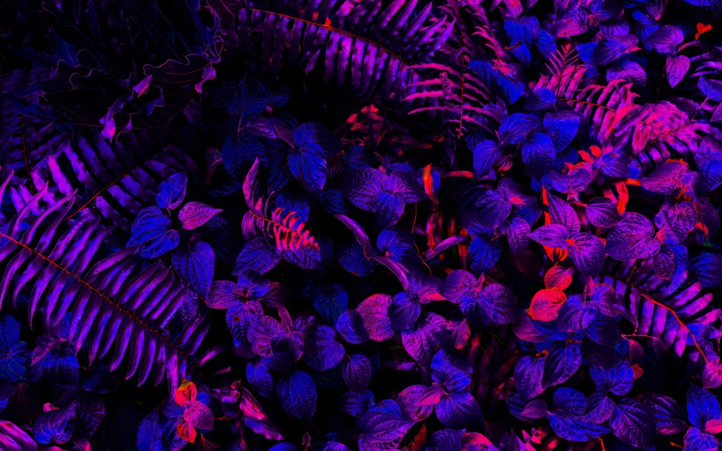 Neon illuminated tropical leaves - Wallpapers for Apple MacBook 12″ in 2304x1440 resolution