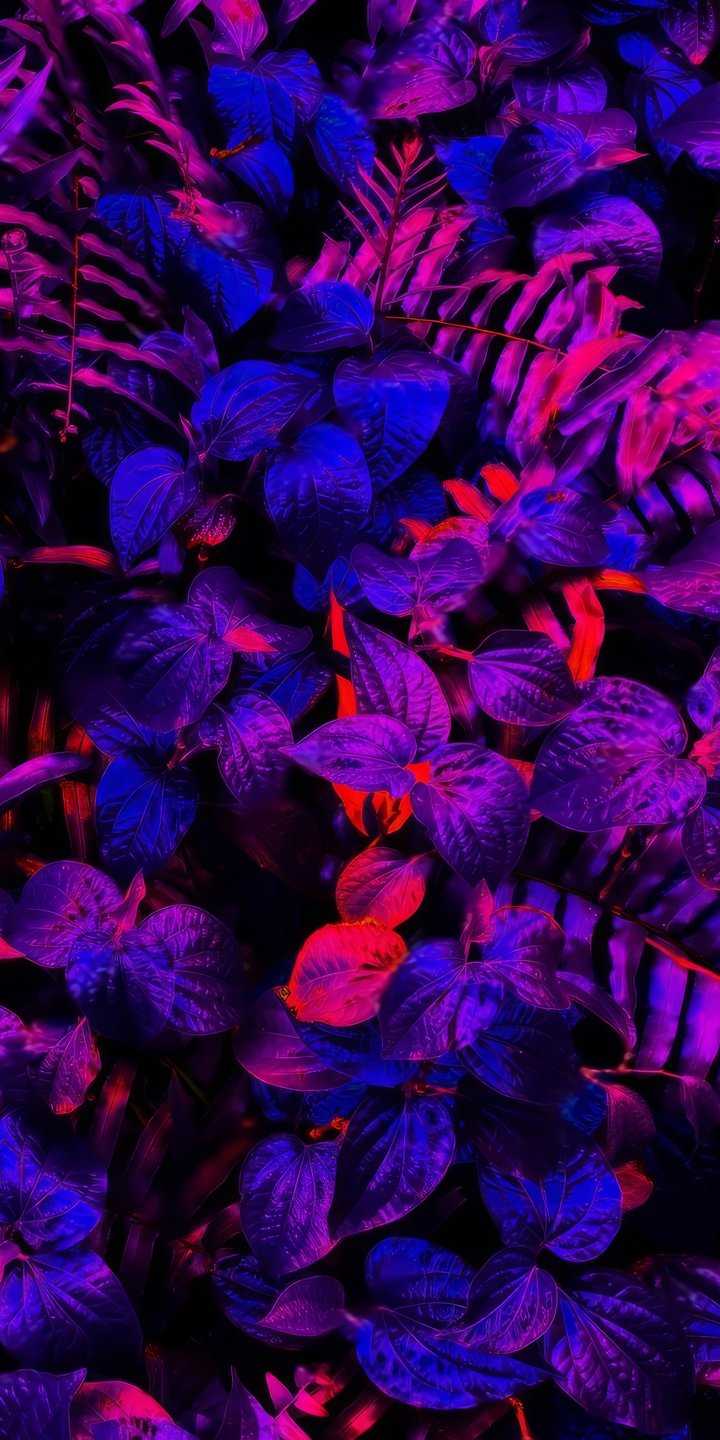 Neon illuminated tropical leaves - Wallpapers for Samsung Galaxy A03s, Xiaomi Redmi 7A, POCO C3 in 720x1440 resolution