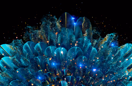 Nature wallpapers: peacock, feathers, glamor, glitter