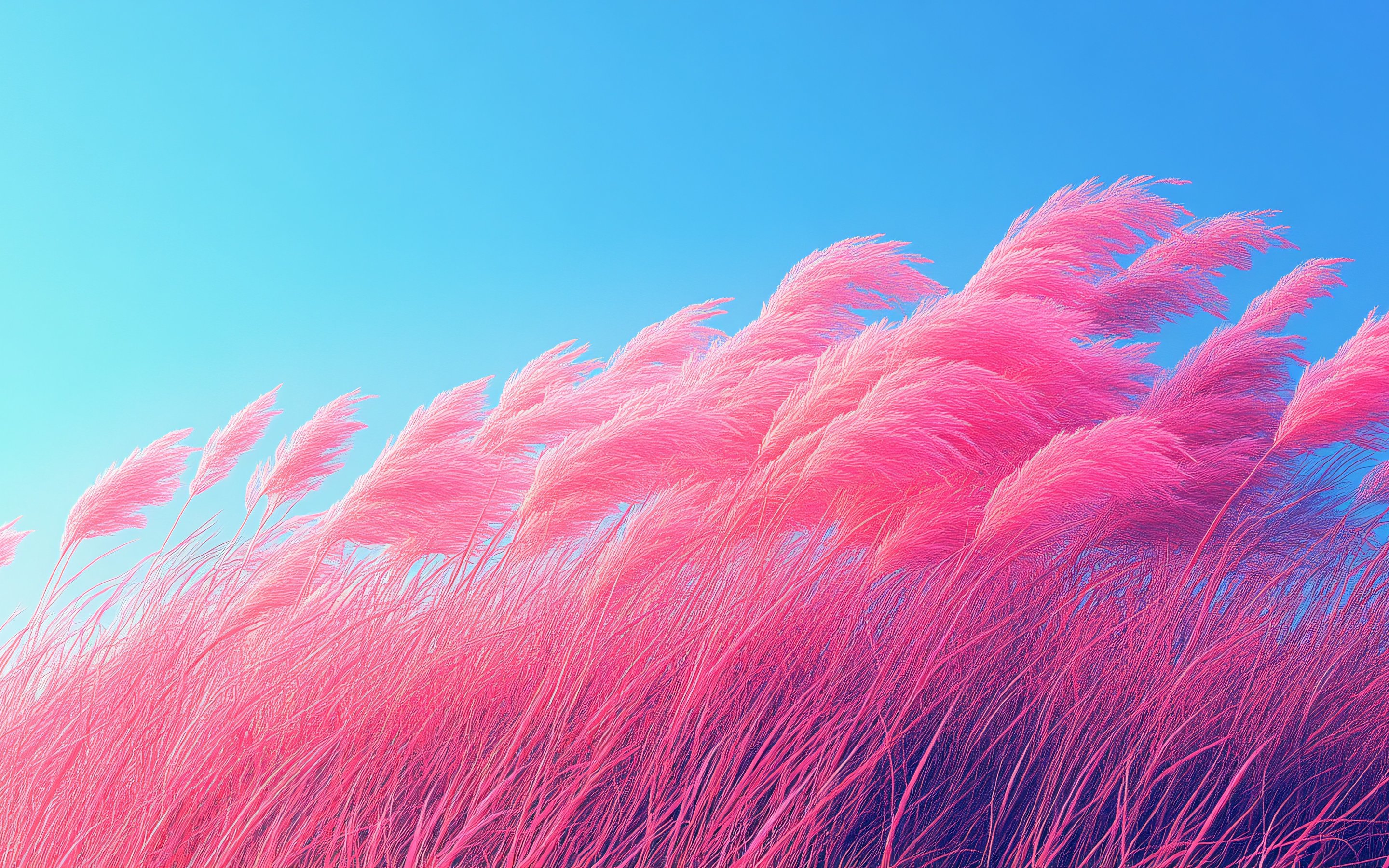 Surreal pink grass - Wallpapers for Apple MacBook 15″ in 2880x1800 resolution
