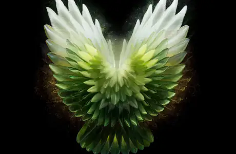 feathers Wallpapers for Samsung/Xiaomi (2000x2000): wings, feathers, glow, light
