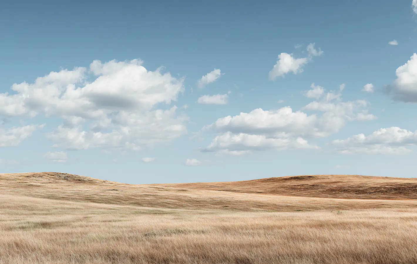 Dry grassland under blue sky — desktop and phone wallpaper, free download
