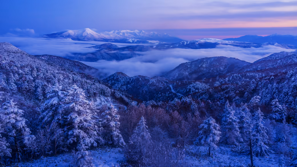 Snow-capped mountains and winter forest — desktop and phone wallpaper, free download