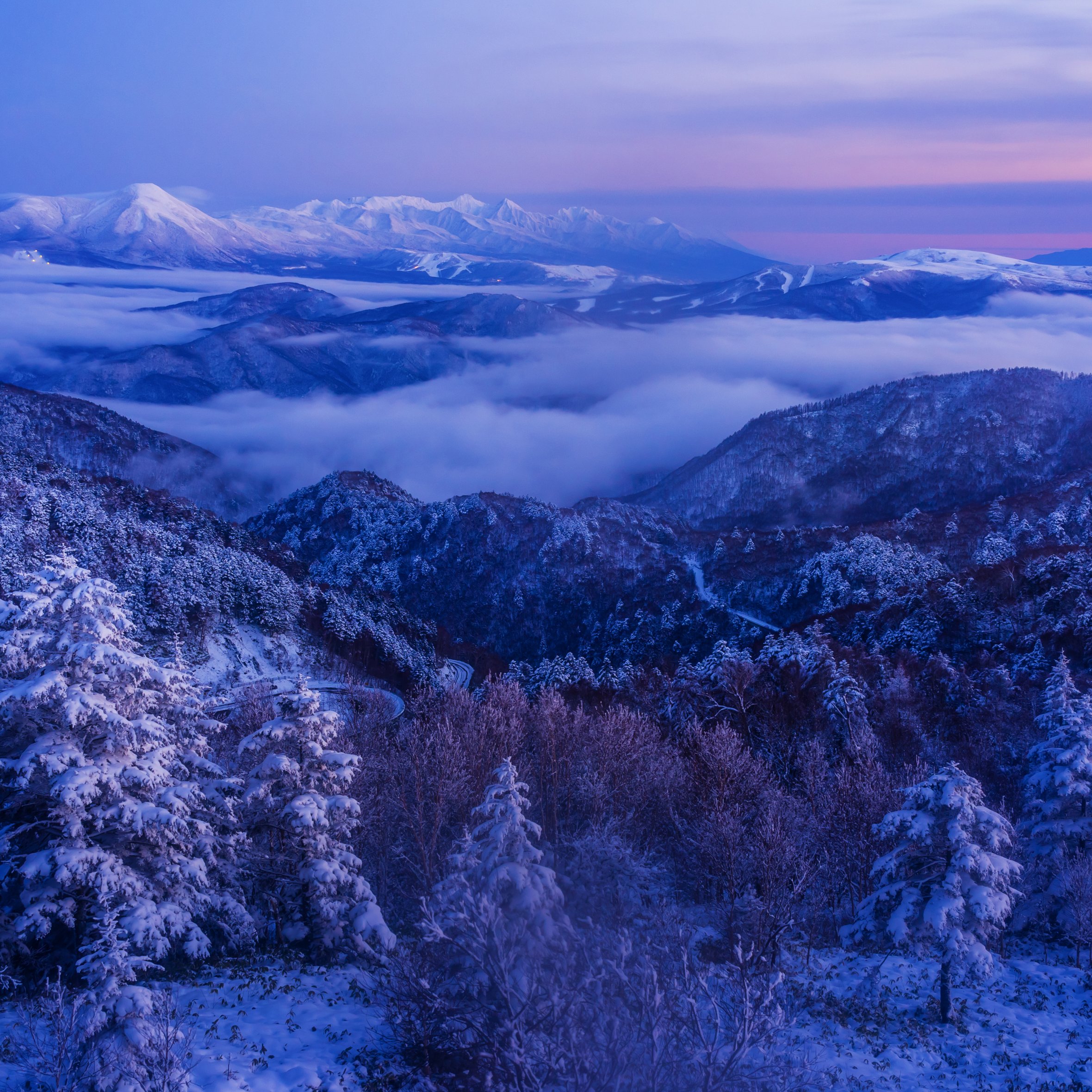 Snow-capped mountains and winter forest - Wallpapers for iPad Air 10.9″ in 2360x2360 resolution