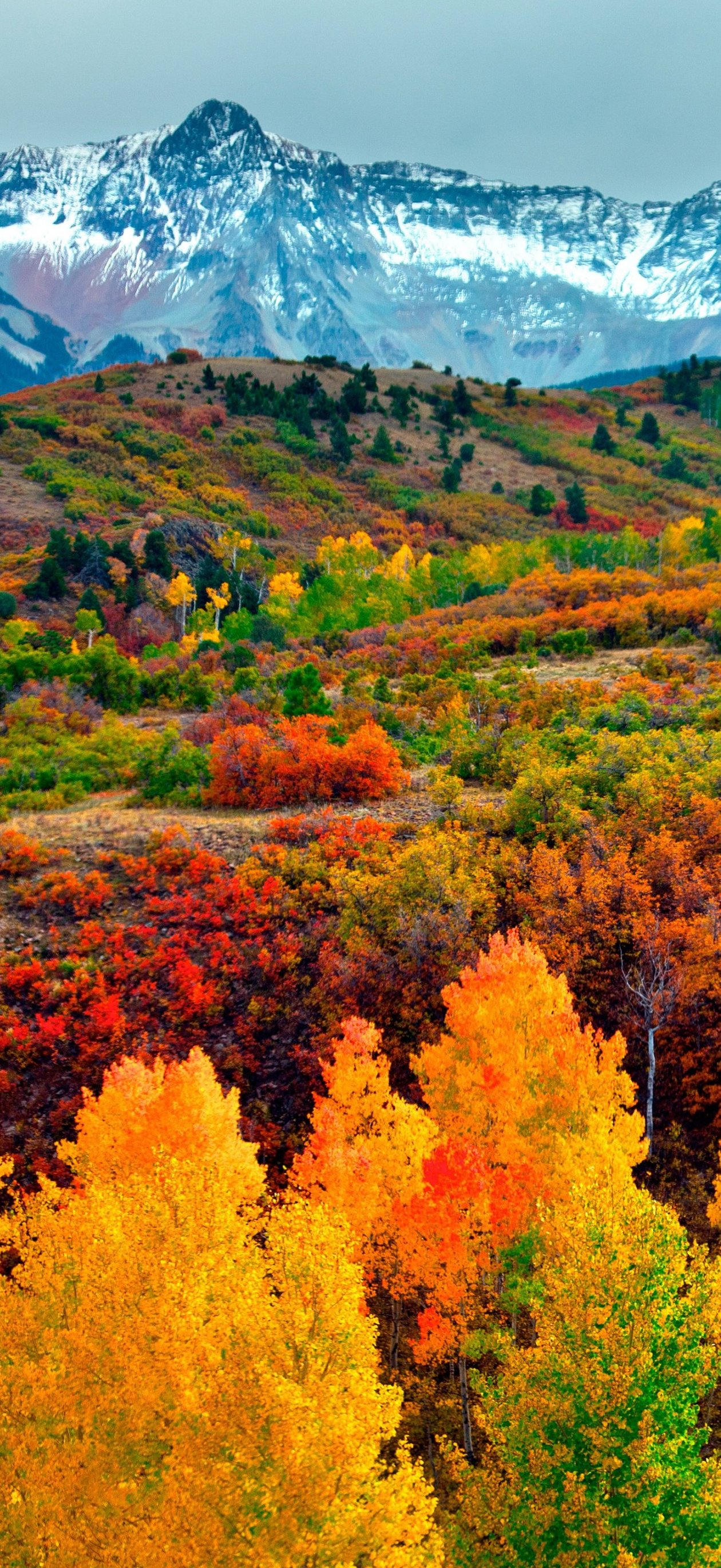 Autumn forest and snow-capped mountains - Wallpapers for iPhone Air in 1260x2736 resolution