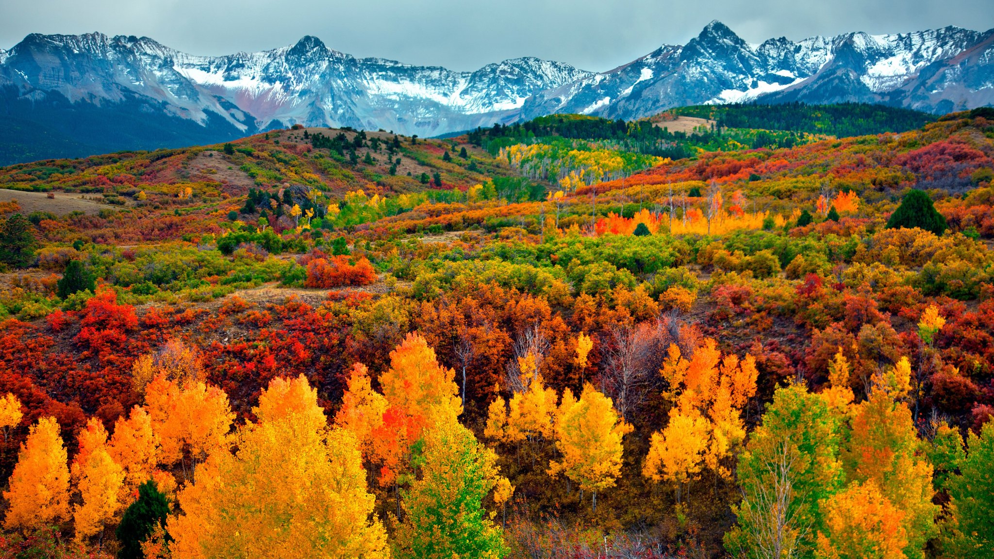 Autumn forest and snow-capped mountains - QWXGA wallpapers in 2048x1152 resolution