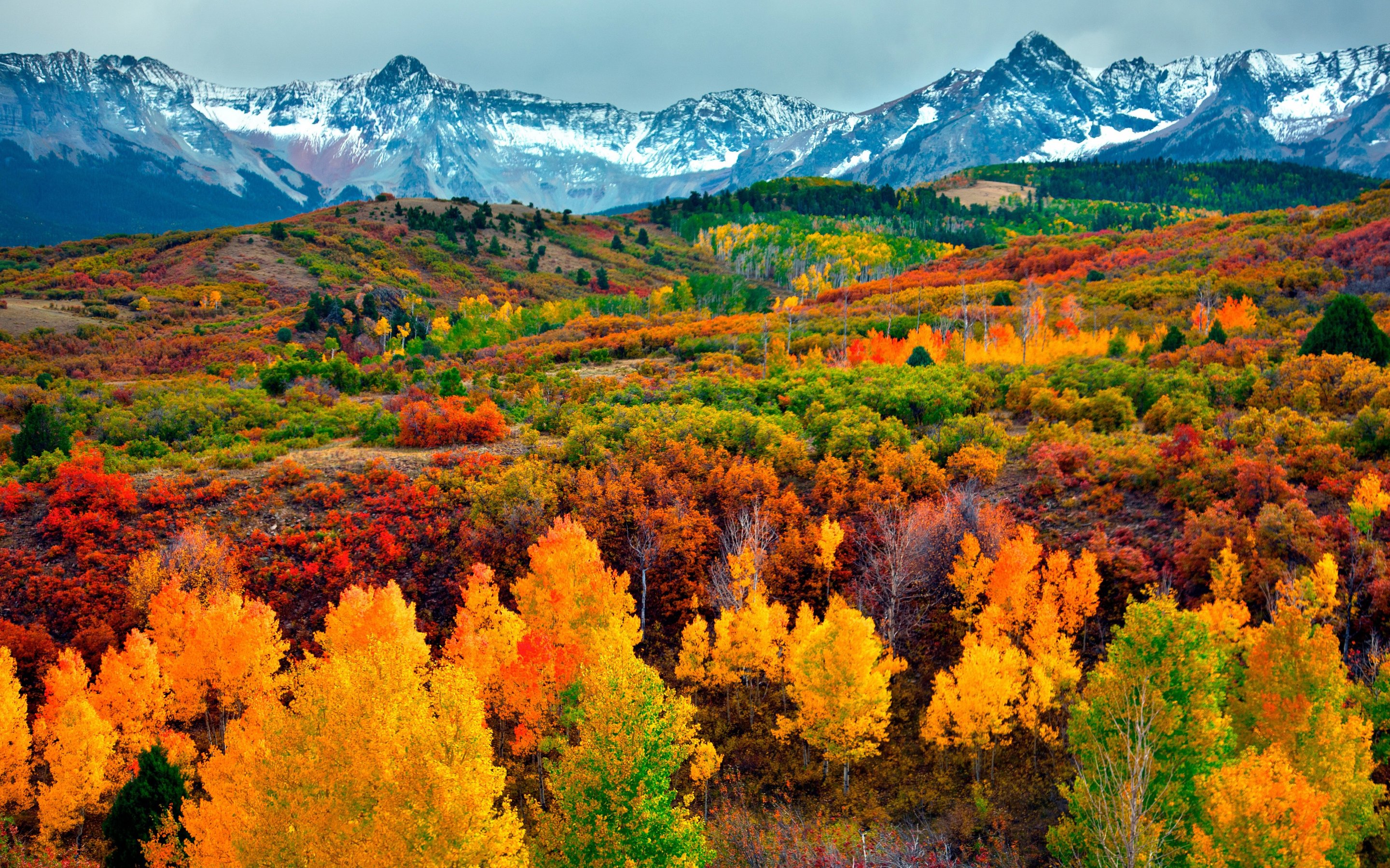Autumn forest and snow-capped mountains - Wallpapers for Apple MacBook 15″ in 2880x1800 resolution