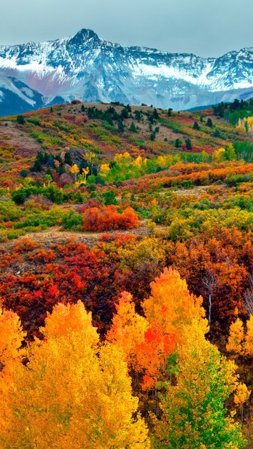 Autumn forest and snow-capped mountains - Wallpapers for Nokia, Samsung in 360x640 resolution