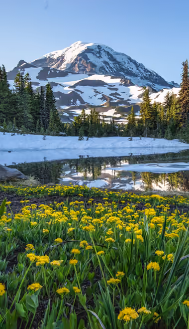 Nature wallpapers: mountains, snow, spring, meadow