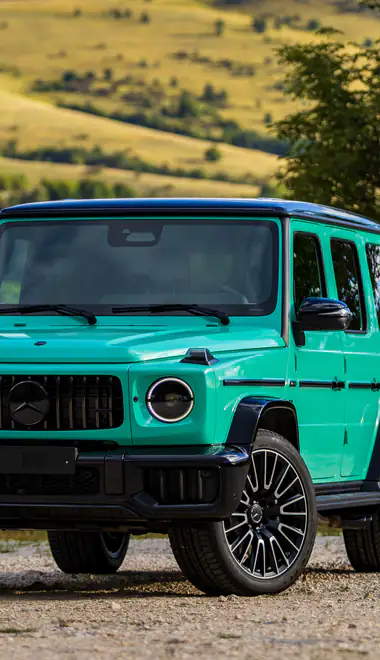Обои машины: Mercedes-Benz G 63 AMG, спортивный внедорожник, бездорожье, лес