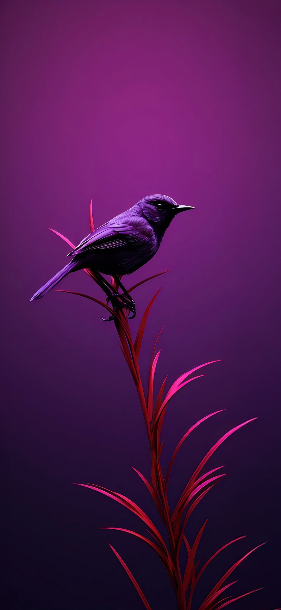 Purple shiny flower ring - Wallpapers for iPhone 12 mini/13 mini, Samsung Galaxy S24/S24 FE/S25/S25 FE/S26/A55/A56/A35/A26/A16/M15, Xiaomi, Sony Xperia in 1080x2340 resolution