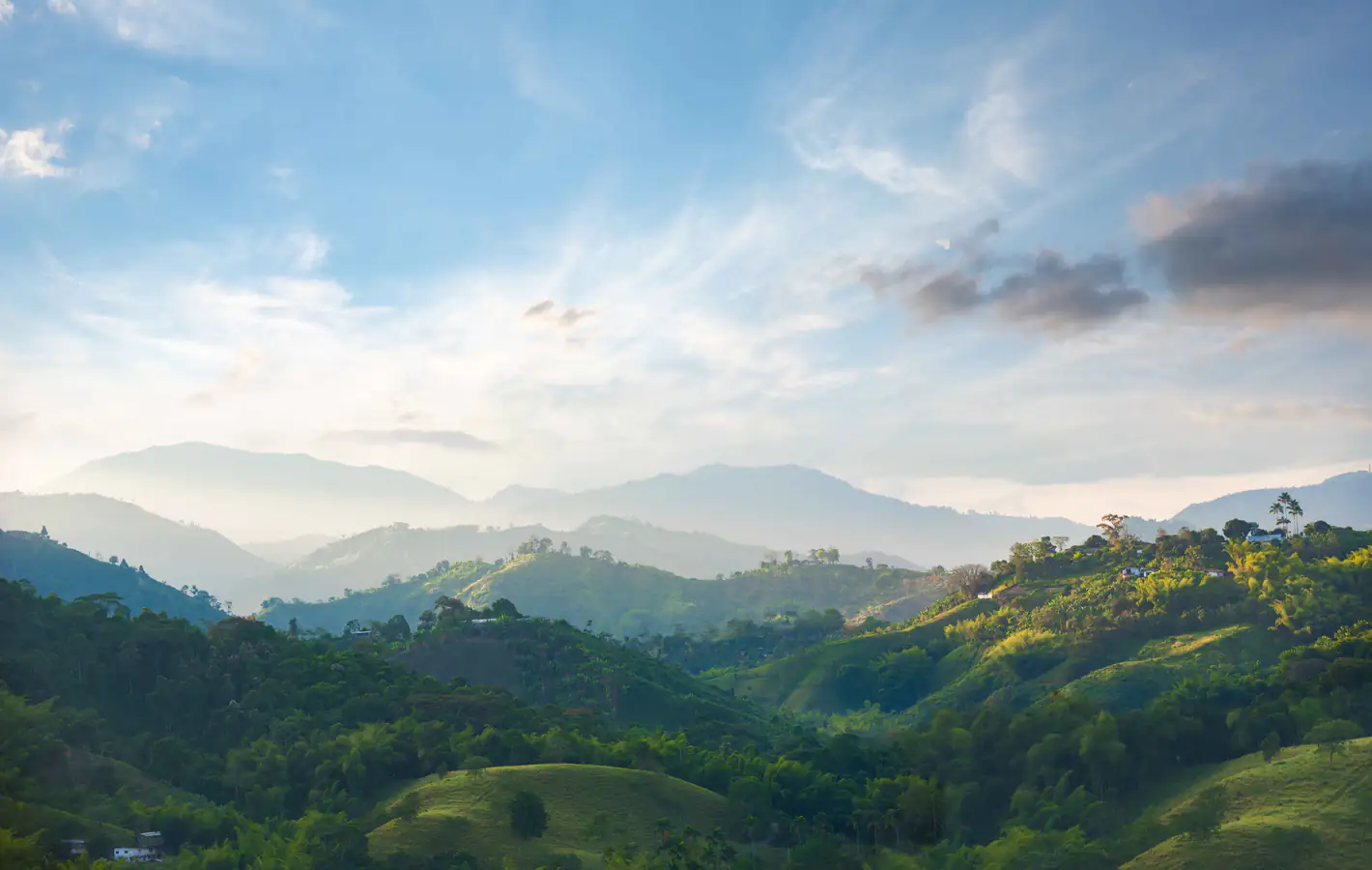 Hilly forested landscape in Colombia under blue sky — desktop and phone wallpaper, free download
