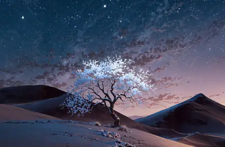 Wallpapers for Apple MacBook 14.2″ (3024x1964): trees, desert, sunset, evening