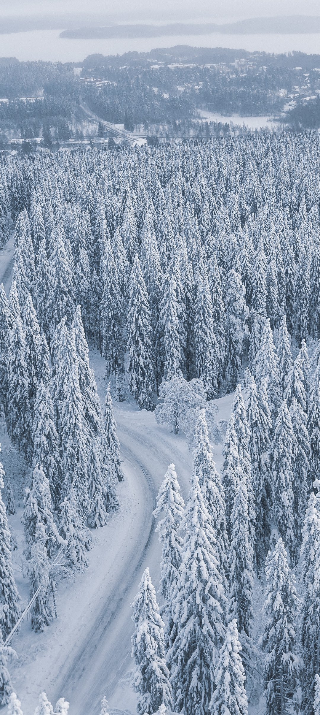 Snow-covered forest with a winding road - Wallpapers for Samsung Galaxy A13/A14/A53, Realme 12 Pro 5G, POCO M5 in 1080x2408 resolution