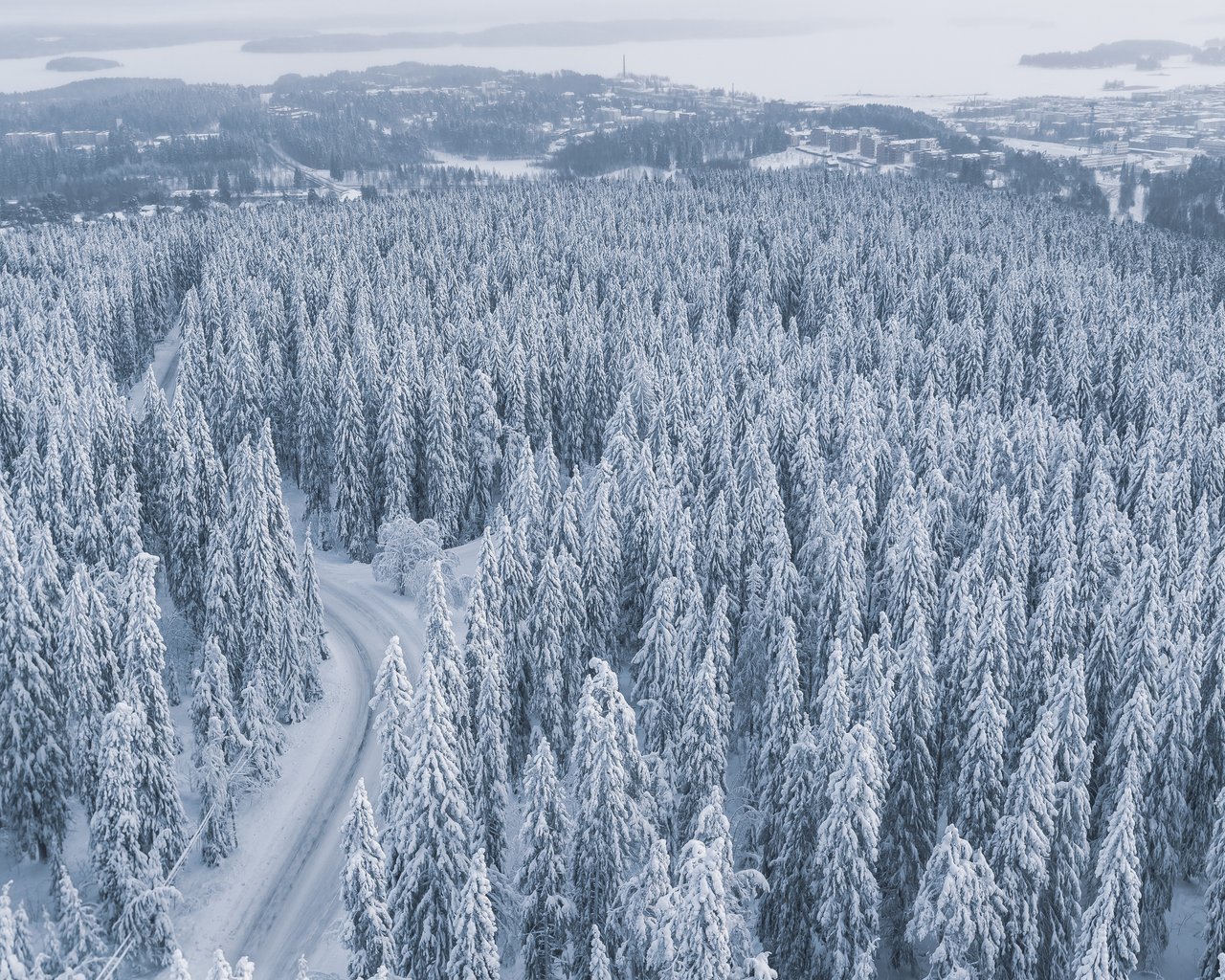 Snow-covered forest with a winding road - SXGA wallpapers in 1280x1024 resolution