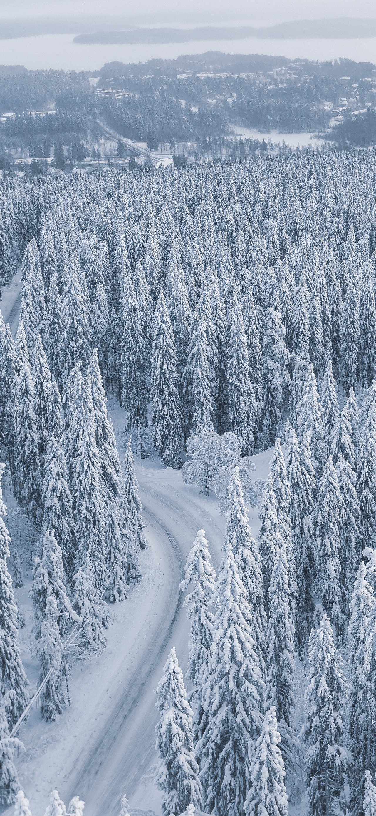 Snow-covered forest with a winding road - Wallpapers for Xiaomi 15T in 1280x2772 resolution