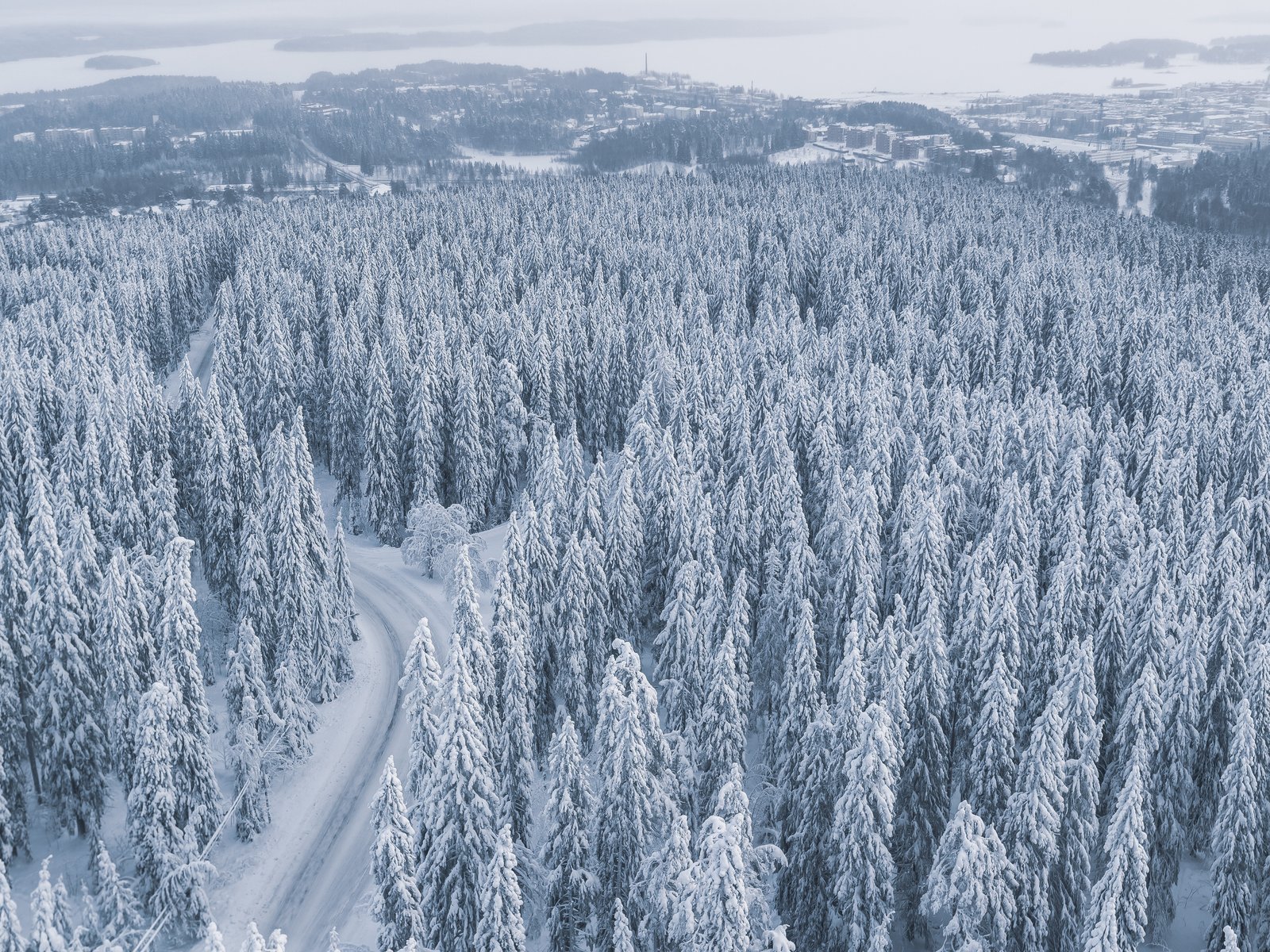Snow-covered forest with a winding road - UXGA wallpapers in 1600x1200 resolution