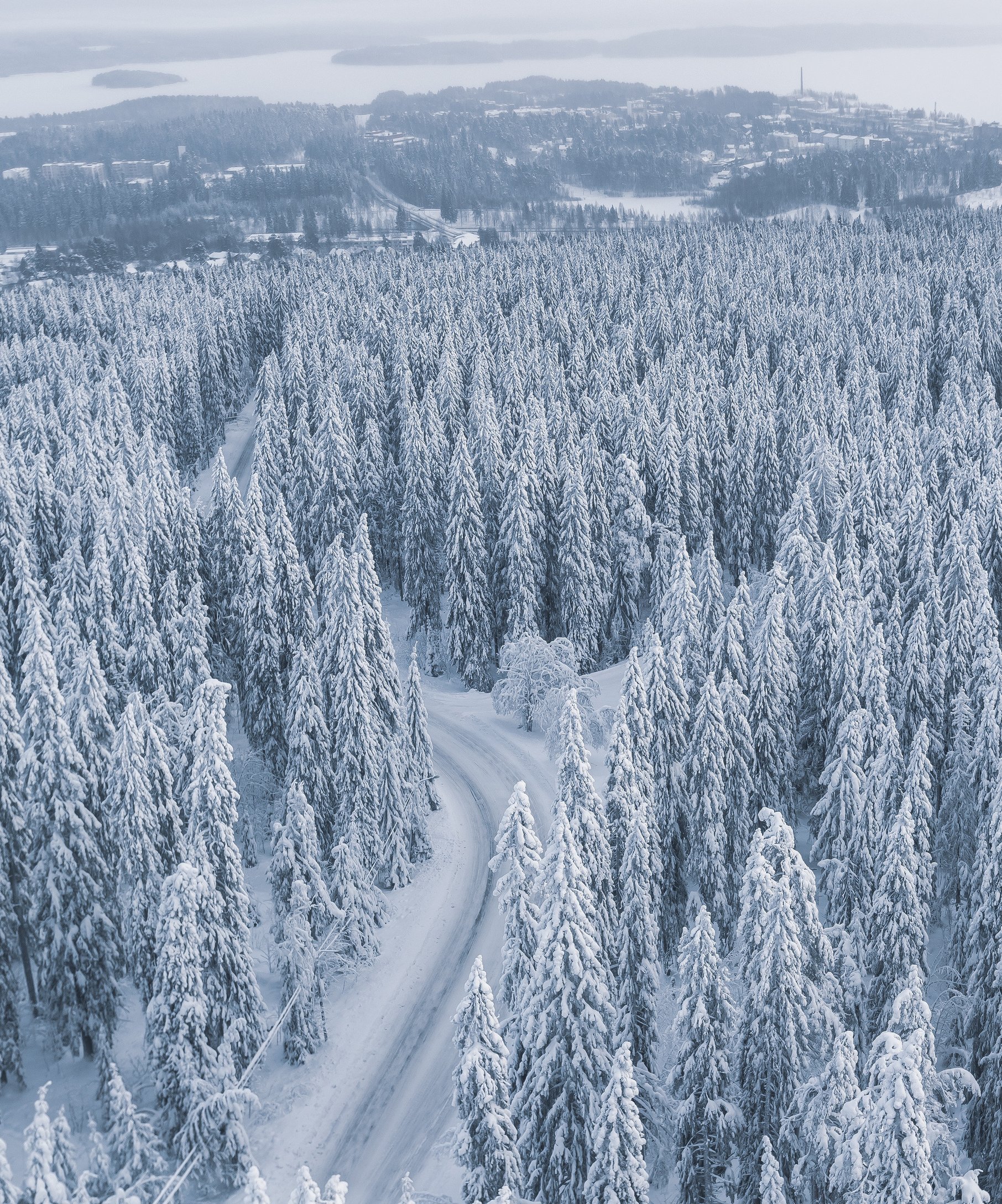 Snow-covered forest with a winding road - Wallpapers for Samsung Galaxy Z Fold4/Z Fold5/Z Fold6 in 1812x2176 resolution