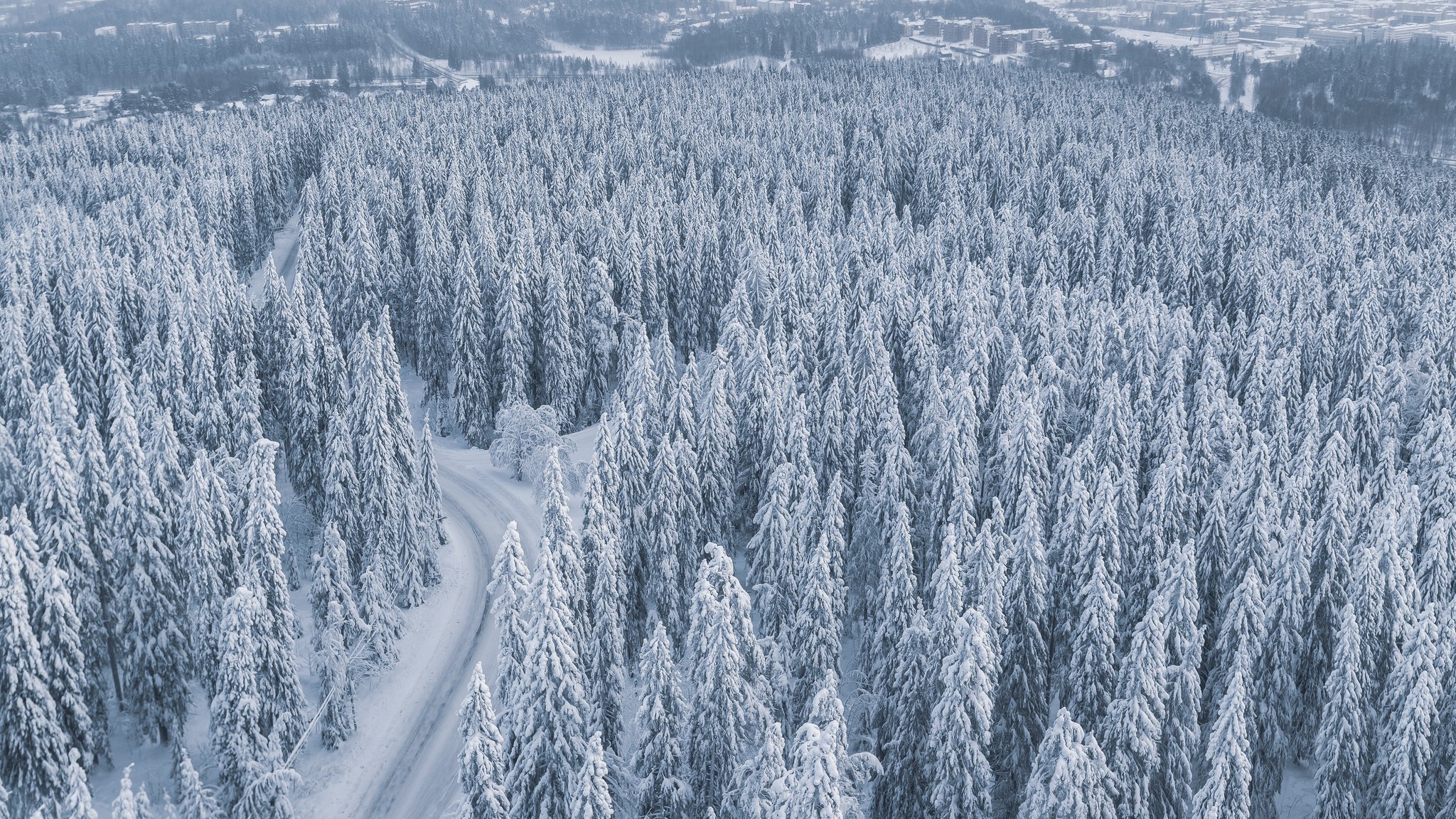 Snow-covered forest with a winding road - QWXGA wallpapers in 2048x1152 resolution