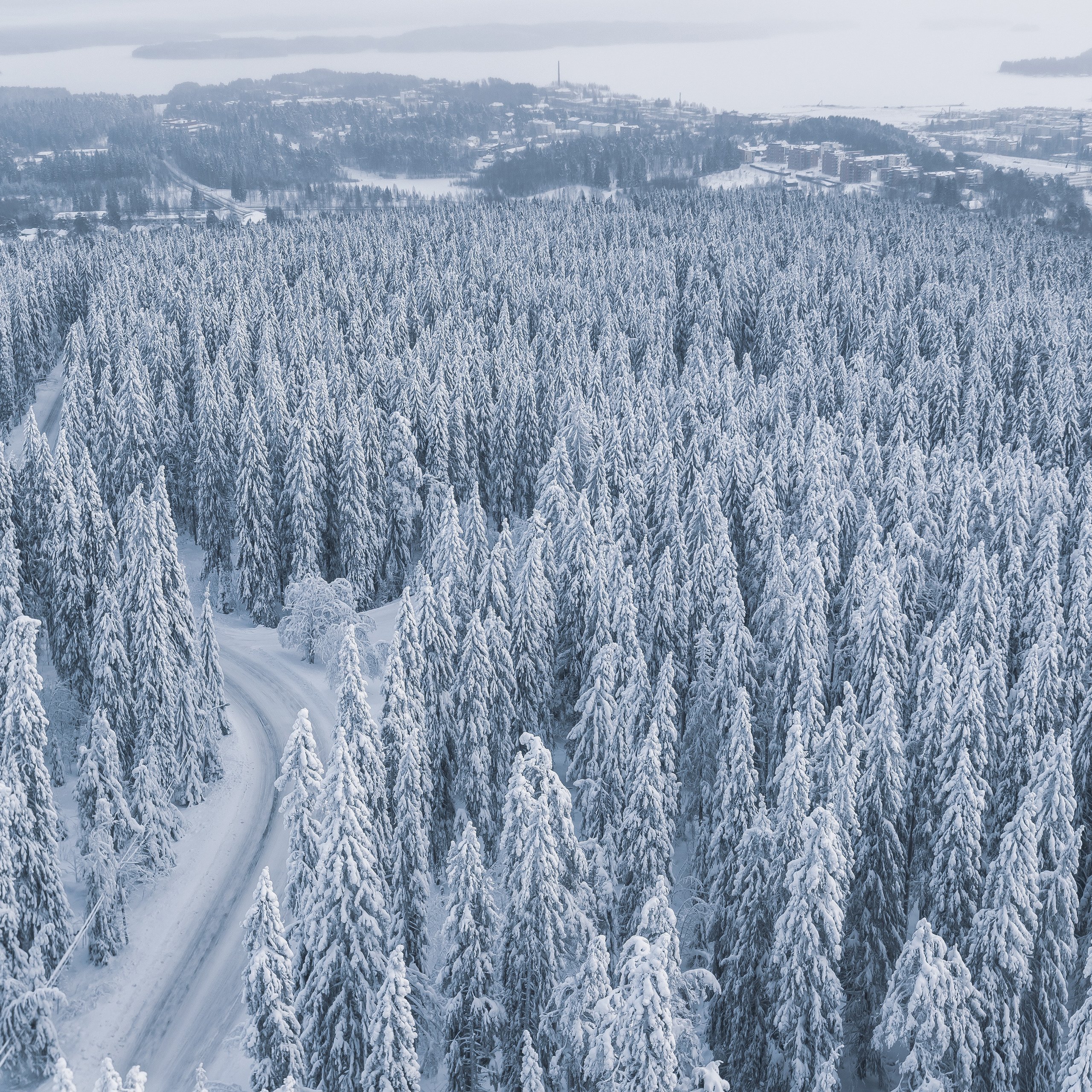 Snow-covered forest with a winding road - Wallpapers for Samsung Galaxy Tab S9 FE+/Tab S11, Xiaomi Pad 5, Redmi Pad 2 Pro, POCO Pad in 2560x2560 resolution