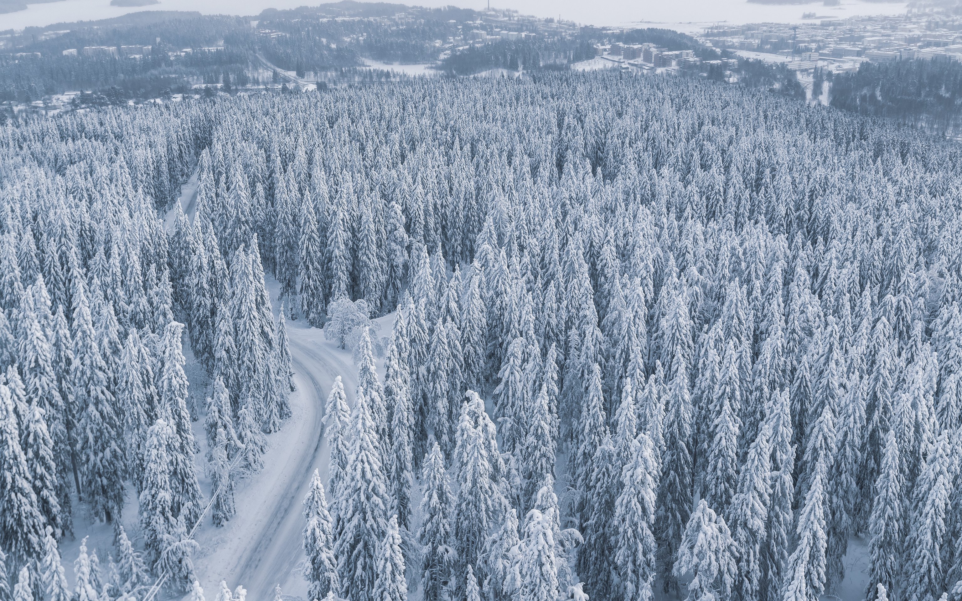 Snow-covered forest with a winding road - Wallpapers for Apple MacBook 16″ in 3072x1920 resolution