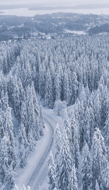 Обои тропа для Samsung (360x740): лес, снег, зима, сосна