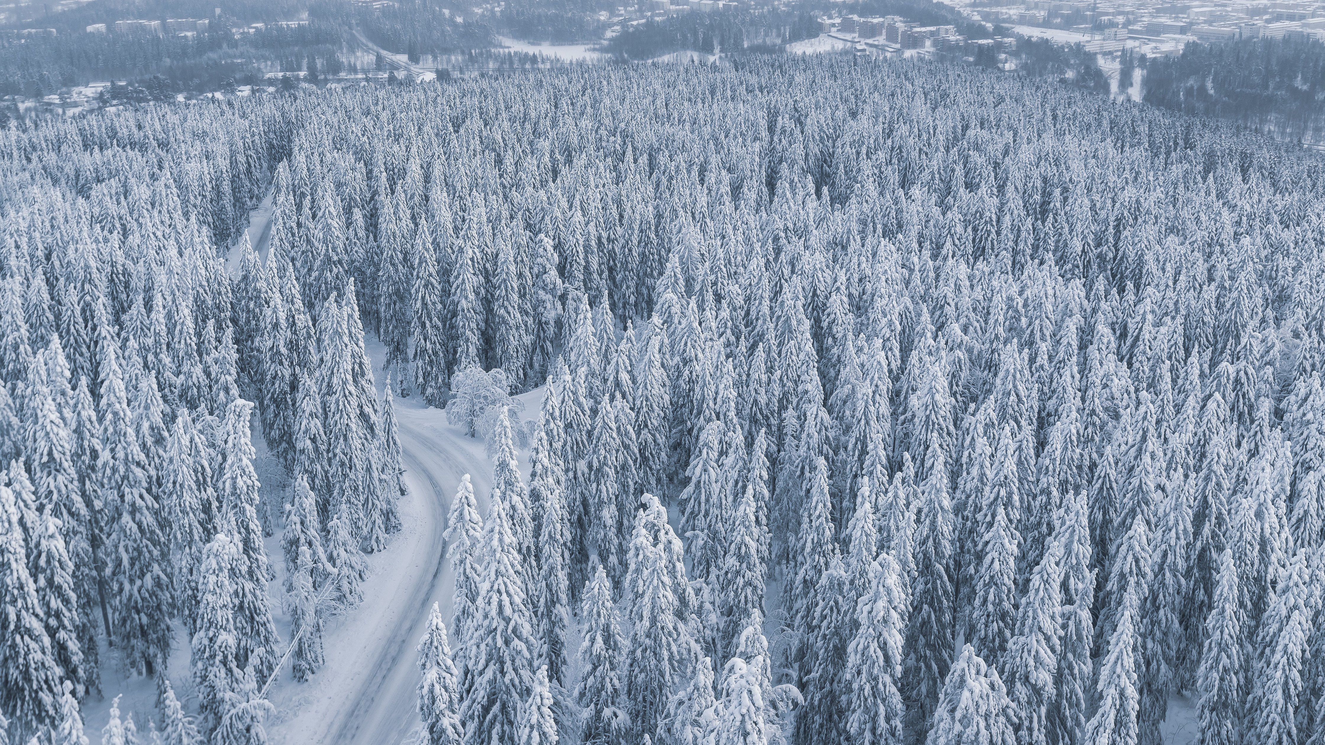 Snow-covered forest with a winding road - Wallpapers for Apple iMac 24″ in 4480x2520 resolution