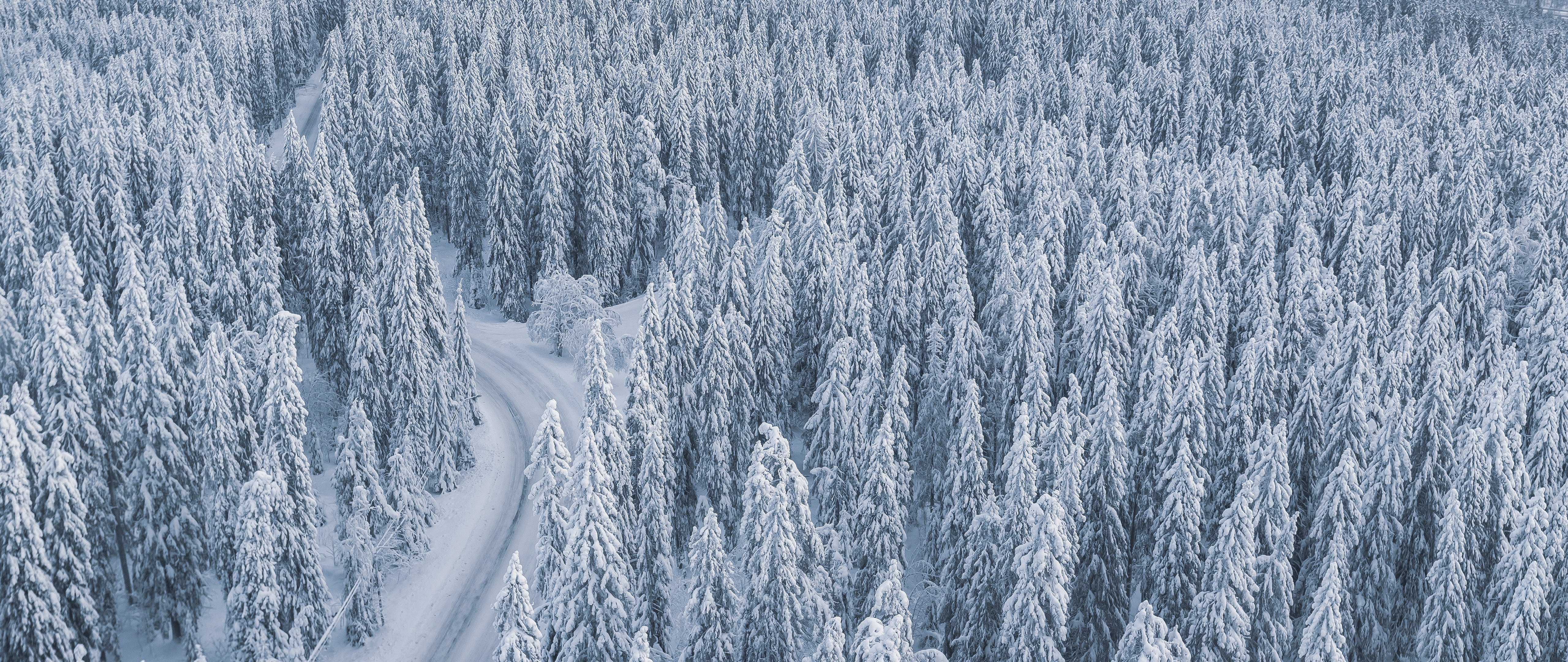 Snow-covered forest with a winding road - 5K2K UltraWide 21:9 wallpapers in 5120x2160 resolution