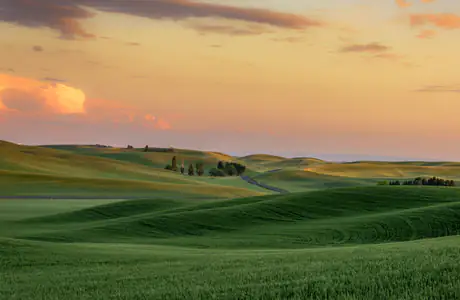 Nature wallpapers: field, hills, sunset, summer