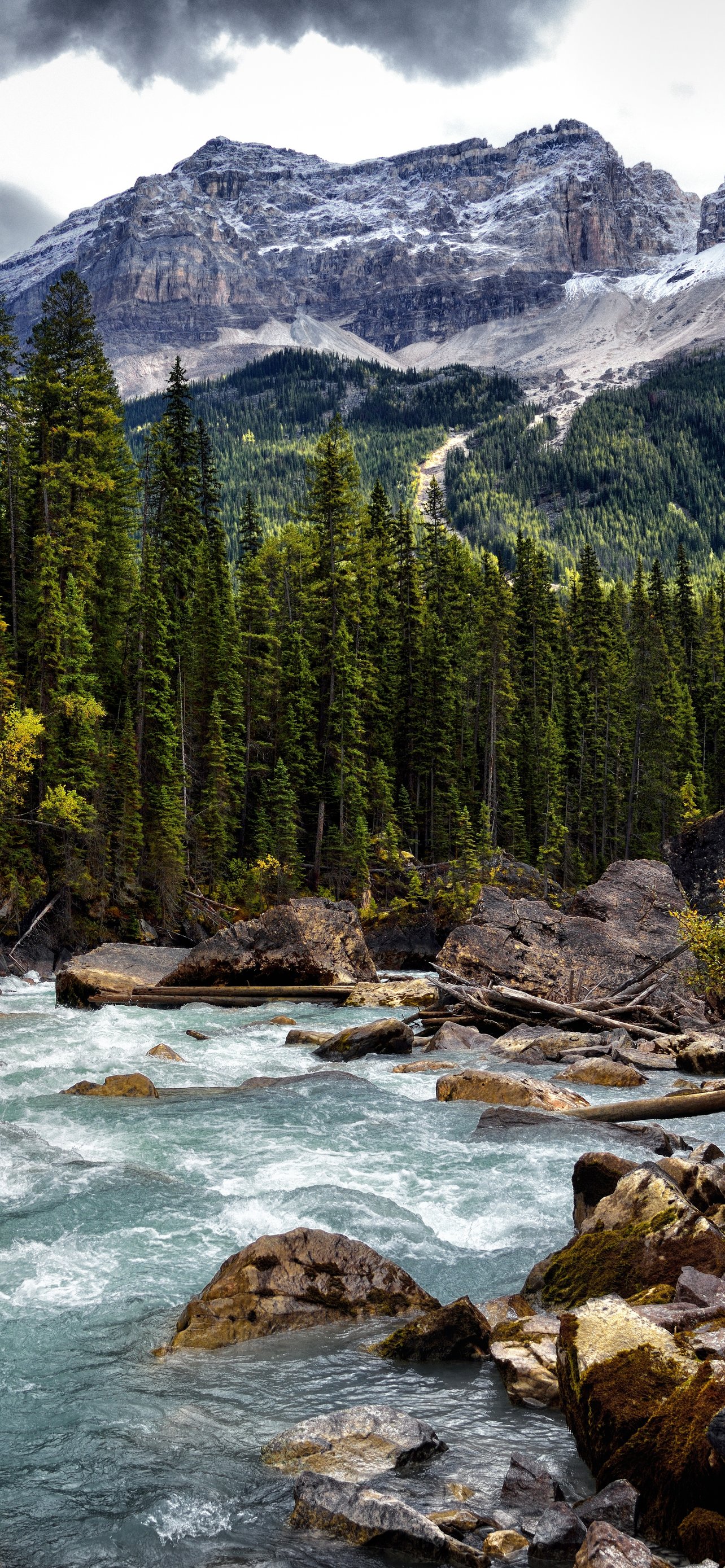 Mountain River Flowing Through Pine Forest - Wallpapers for iPhone 13 Pro Max/12 Pro Max/14 Plus in 1284x2778 resolution