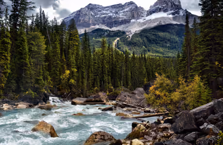 Nature wallpapers: river, forest, mountains, valley