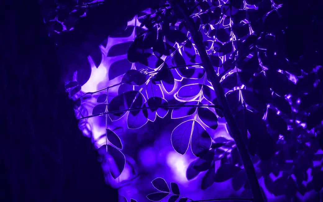 Neon illuminated leaves in night — desktop and phone wallpaper, free download