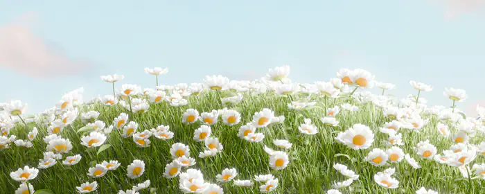 UltraWide 21:9 freshness wallpapers (3440x1440): chamomiles, field, summer, grass