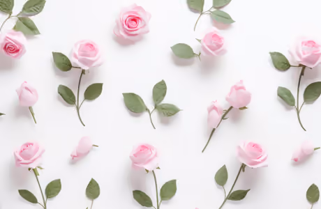 8 march Wallpapers for iPad Retina (2048x2048): 8 march, roses, flowers, petals