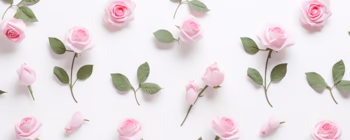 UltraWide 21:9 Romance wallpapers (2560x1080): 8 march, roses, flowers, petals