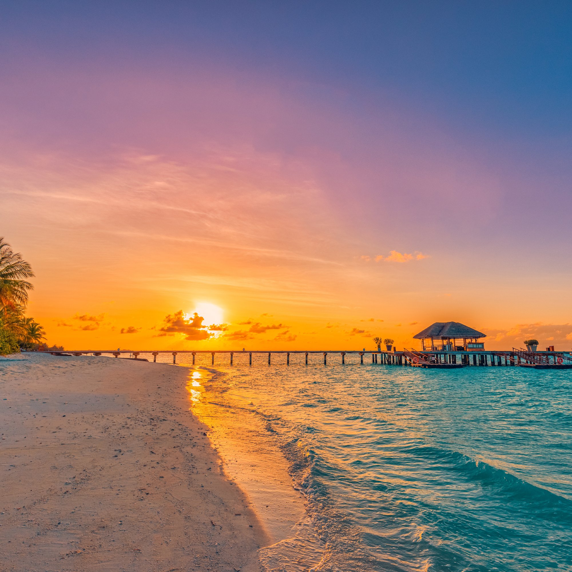 Tropical beach with orange sunset - Wallpapers for Samsung/Xiaomi in 2000x2000 resolution