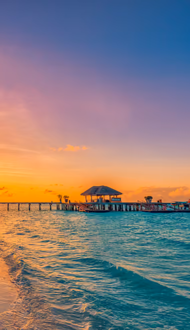 Nature wallpapers: beach, palms, tropics, ocean