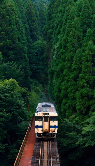 Nature wallpapers: train, railroad, forest, trees