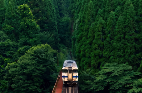 Train Wallpapers for iPad Pro 10.5″ (2224x2224): train, railroad, forest, trees