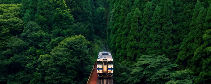 UltraWide 21:9 Journey wallpapers (2560x1080): train, railroad, forest, trees