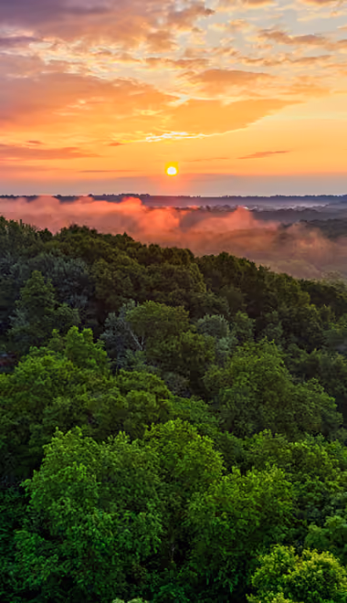 Wallpapers for iPhone 4/4S (640x960): sunset, forest, fog, trees