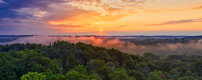 Nature wallpapers: sunset, forest, fog, trees