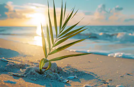 Full HD wallpapers (1920x1080): beach, ocean, sunset, leaves