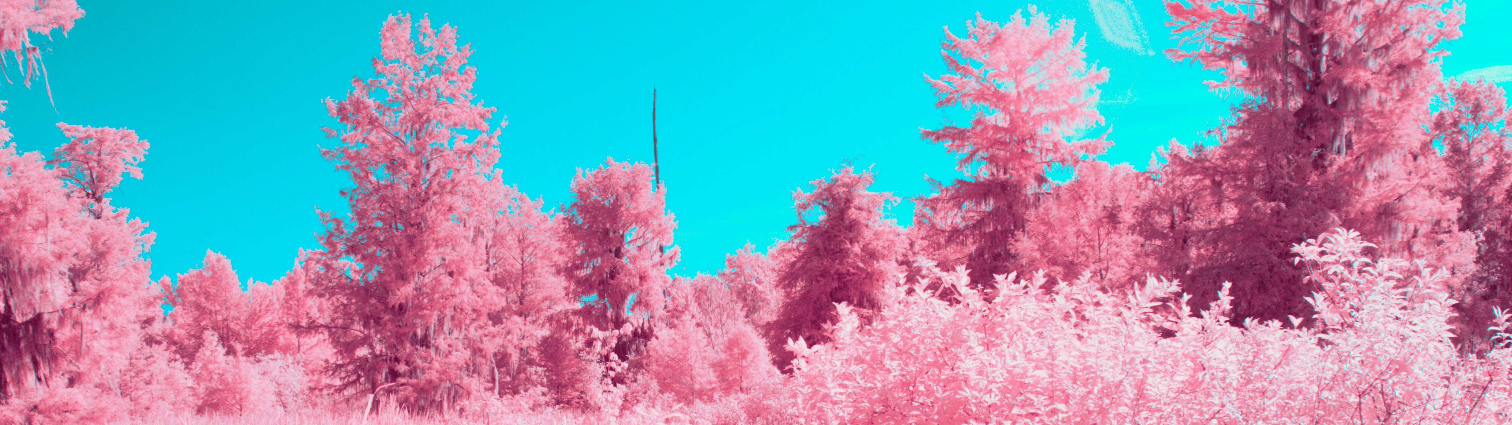 Surreal pink plants - UltraWide 32:9 wallpapers in 5120x1440 resolution