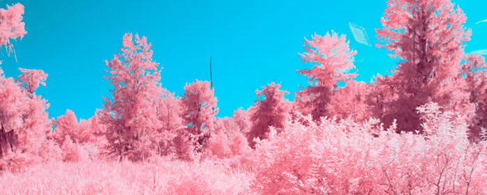 UltraWide 32:9 wallpapers (3840x1080): trees, sky, surrealism, glamor