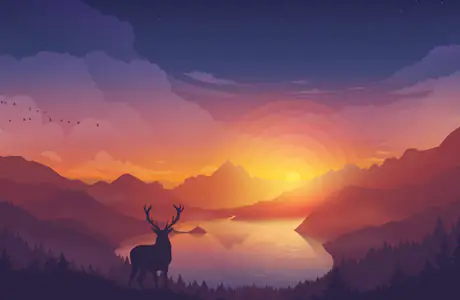 Wallpapers for Samsung Galaxy Tab (1920x1920): Sun, deer, lake, sunset